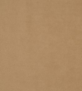 Kensington Fabric by Prestigious Textiles Cappucino Kensington Fabric by Prestigious Textiles Cappucino