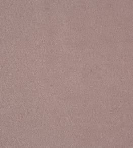 Kensington Fabric by Prestigious Textiles Lavender Kensington Fabric by Prestigious Textiles Lavender