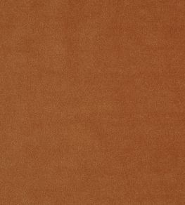 Kensington Fabric by Prestigious Textiles Nectarine