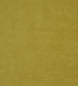 Kensington Fabric by Prestigious Textiles Olive Kensington Fabric by Prestigious Textiles Olive