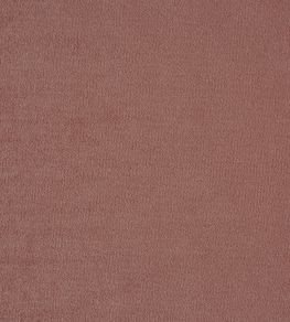 Kensington Fabric by Prestigious Textiles Rose