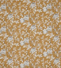 Kiri Fabric by Prestigious Textiles Honey Kiri Fabric by Prestigious Textiles Honey
