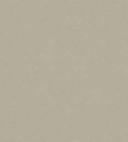 Koki Fabric by Warwick Papyrus Koki Fabric by Warwick Papyrus