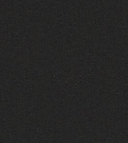 Krayola Fabric by Warwick Charcoal