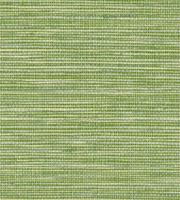 La Prairie Wallpaper by Arte Green Herb La Prairie Wallpaper by Arte Green Herb