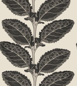 Lacinato Wallpaper by Thibaut Basalt Black Lacinato Wallpaper by Thibaut Basalt Black