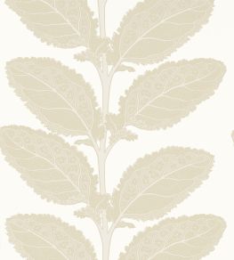 Lacinato Wallpaper by Thibaut Birch Lacinato Wallpaper by Thibaut Birch
