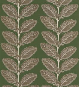 Lacinato Fabric by Thibaut Wild Sage Lacinato Fabric by Thibaut Wild Sage