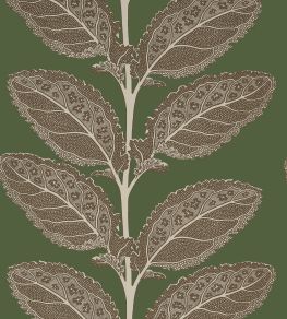 Lacinato Wallpaper by Thibaut Wild Sage Lacinato Wallpaper by Thibaut Wild Sage