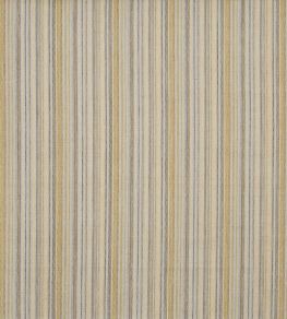 Lawn Fabric by Prestigious Textiles Daffodil