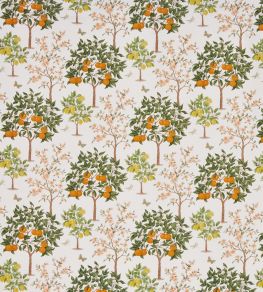 Lemon Grove Fabric by Prestigious Textiles Pear