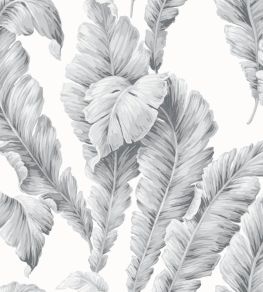 Lets Go Bananas Wallpaper by Woodchip & Magnolia Dove Grey Lets Go Bananas Wallpaper by Woodchip & Magnolia Dove Grey