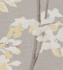 Beech Linen Fabric by Lewis & Wood Dove Beech Linen Fabric by Lewis & Wood Dove
