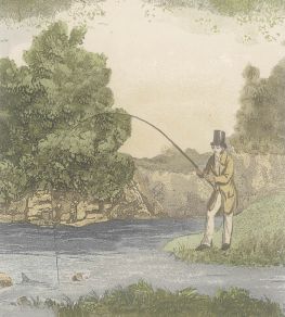 Fly Fishing Wallpaper by Lewis & Wood Green