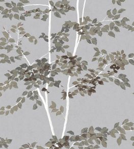 Beech Wallpaper by Lewis & Wood Silverstone Beech Wallpaper by Lewis & Wood Silverstone