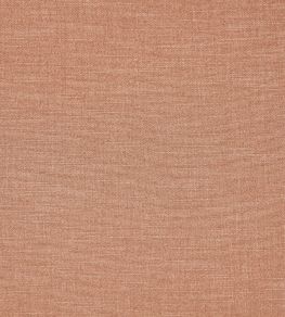Lisbon Fabric by Prestigious Textiles Shell Lisbon Fabric by Prestigious Textiles Shell