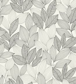 Little Botanica Wallpaper by Caselio Noir et blanc Little Botanica Wallpaper by Caselio Noir et blanc