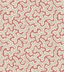 Little Dulcie Wallpaper by Ian Sanderson Coral
