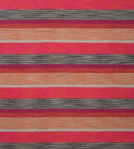Llama Fabric by Andrew Martin Orange