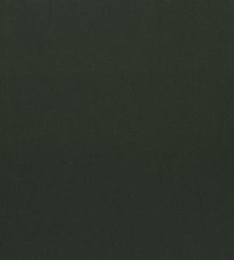Loden Fabric by Designers Guild Fir