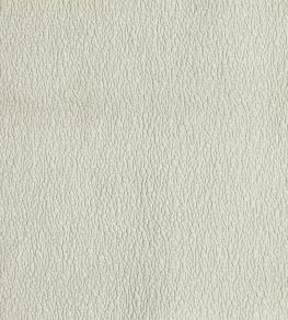 Loki Fabric by Prestigious Textiles Pearl Loki Fabric by Prestigious Textiles Pearl