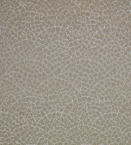 Lulu Fabric by Romo Briosca Lulu Fabric by Romo Briosca