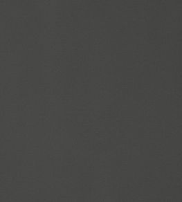 Lyra Velvet Fabric by Thibaut Charcoal Lyra Velvet Fabric by Thibaut Charcoal
