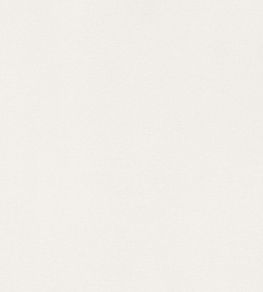 Lyra Velvet Fabric by Thibaut Oyster Lyra Velvet Fabric by Thibaut Oyster