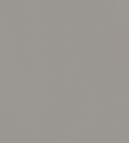 Lyra Velvet Fabric by Thibaut Smoke Lyra Velvet Fabric by Thibaut Smoke