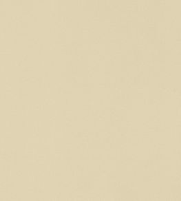Lyra Velvet Fabric by Thibaut Suede Lyra Velvet Fabric by Thibaut Suede