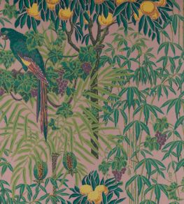 Macaw Wallpaper by 1838 Wallcoverings Blush Macaw Wallpaper by 1838 Wallcoverings Blush