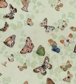 Magic Butterflies Wallpaper by Coordonne Maca Magic Butterflies Wallpaper by Coordonne Maca