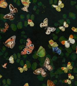 Magic Butterflies Wallpaper by Coordonne Night Magic Butterflies Wallpaper by Coordonne Night