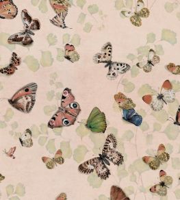 Magic Butterflies Wallpaper by Coordonne Sweet Magic Butterflies Wallpaper by Coordonne Sweet