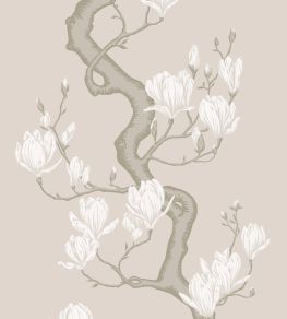 Magnolia Tree Wallpaper by Cole & Son Soft Cream & Powder Magnolia Tree Wallpaper by Cole & Son Soft Cream & Powder