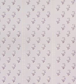 Maharani Wallpaper by Barneby Gates Rajasthani Plaster Maharani Wallpaper by Barneby Gates Rajasthani Plaster