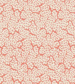 Maldives Wallpaper by Thibaut Coral Maldives Wallpaper by Thibaut Coral