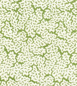 Maldives Fabric by Thibaut Green Maldives Fabric by Thibaut Green