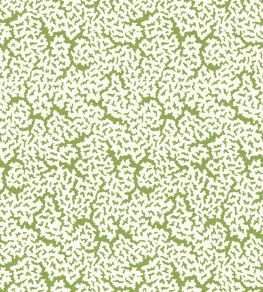 Maldives Wallpaper by Thibaut Green Maldives Wallpaper by Thibaut Green