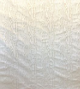 Mancini Fabric by Casal Beige
