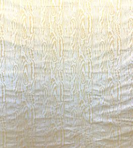 Mancini Fabric by Casal Champagne Mancini Fabric by Casal Champagne