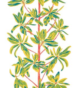 Mangrove Tree Wallpaper by Thibaut Coral Mangrove Tree Wallpaper by Thibaut Coral