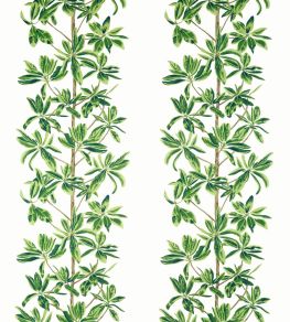 Mangrove Tree Fabric by Thibaut Green and White Mangrove Tree Fabric by Thibaut Green and White