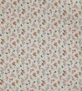Marigold Fabric by Prestigious Textiles Apricot Marigold Fabric by Prestigious Textiles Apricot