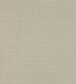 Shifu Wallpaper by Mark Alexander Jasmine