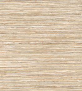 Maroma Wallpaper by Thibaut Beige