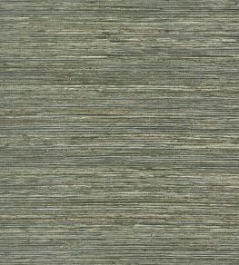 Maroma Wallpaper by Thibaut Olive Maroma Wallpaper by Thibaut Olive