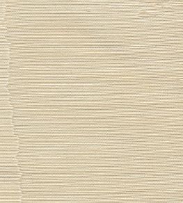 Misa Moire Plain Fabric by Marvic Champagne Misa Moire Plain Fabric by Marvic Champagne
