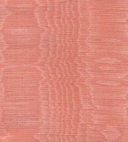 Misa Moire Plain Fabric by Marvic Rose