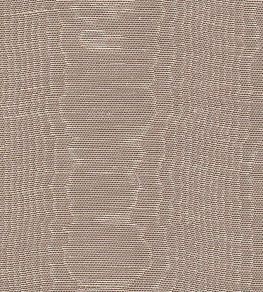 Misa Moire Plain Fabric by Marvic Chamois Misa Moire Plain Fabric by Marvic Chamois